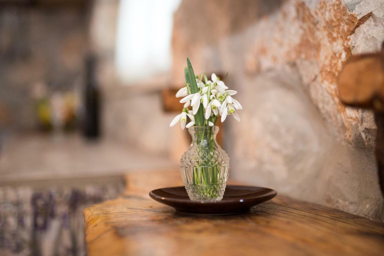 The Terrace Apartment Moscenice Ngoại thất bức ảnh